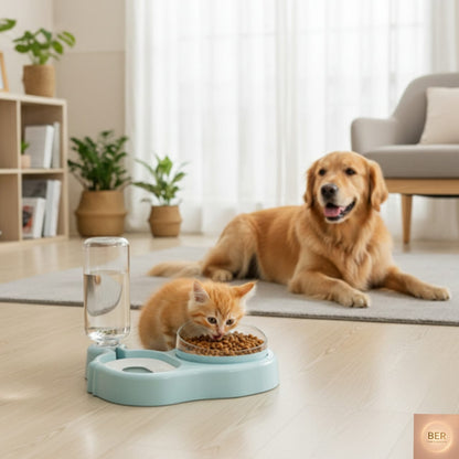 Plato doble para comida y agua de perros y gatos – Práctico y elegante