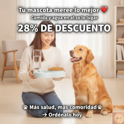 Plato doble para comida y agua de perros y gatos – Práctico y elegante